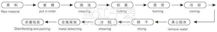 脱水蔬菜带式干燥工艺流程