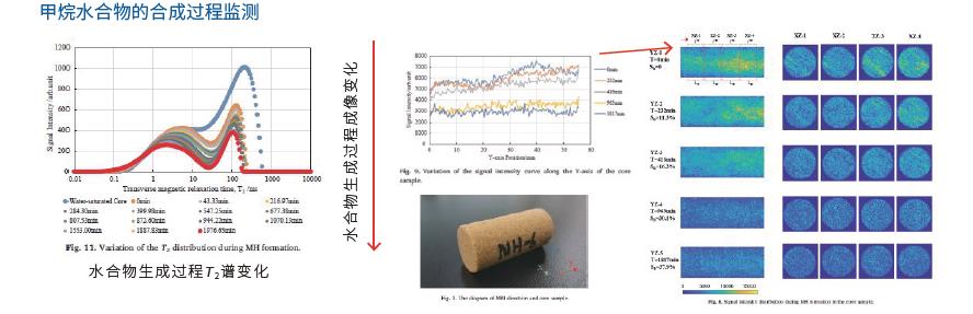 低温高压核磁共振成像分析仪-定制产品