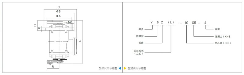 YBZL立式防爆振动电机技术图.png