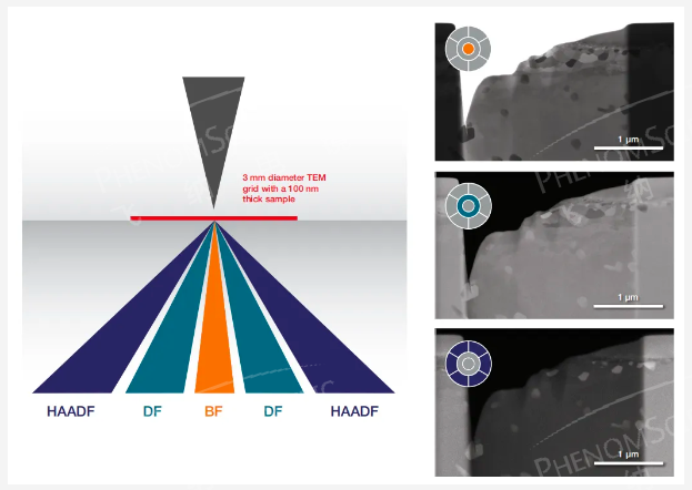 明场（BF）、暗场（DF）和高角度环形暗场（HAADF）成像示意图和成像对比图