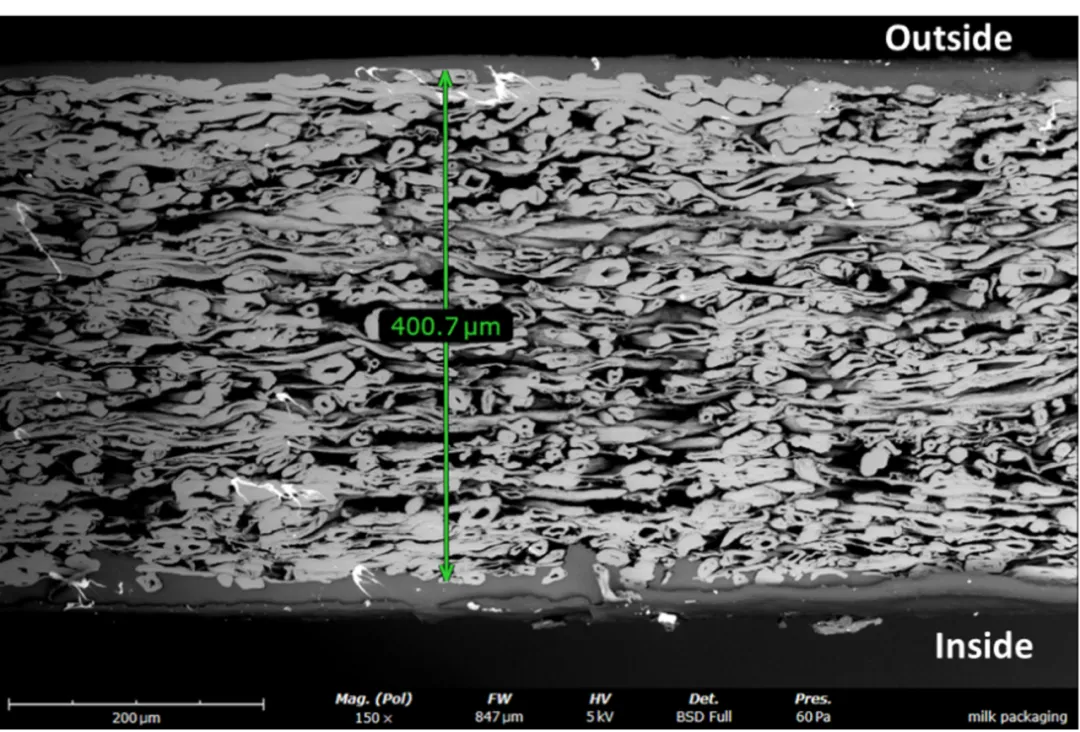 图3冷藏牛奶包装纸盒的截面扫描电镜图