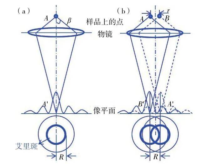 135003_117408_jsue_jswz.jpg