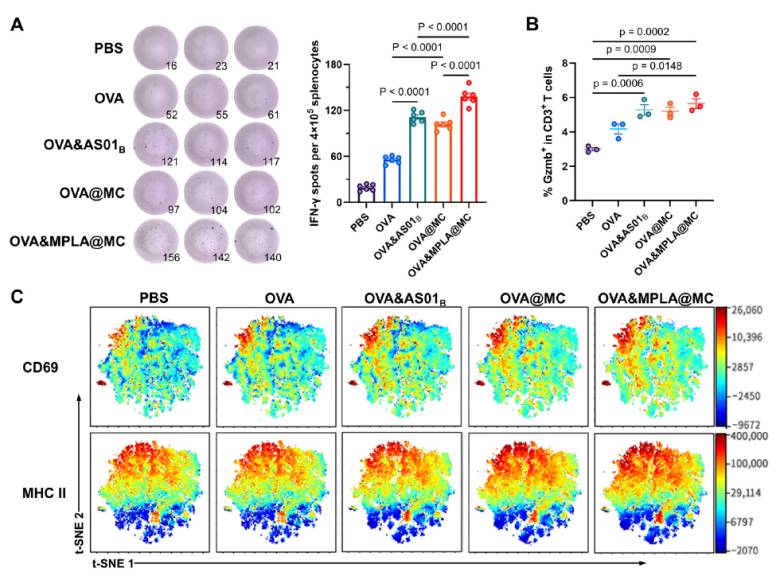 161643_035317_jsue_jswz.png 图片1.png