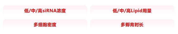 142406_598470_jsue_jswz.png 142406_598470_jsue_jswz.png